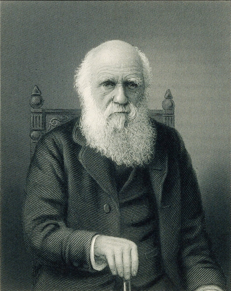 Shaved naturalist males agree Shaved naturalist males